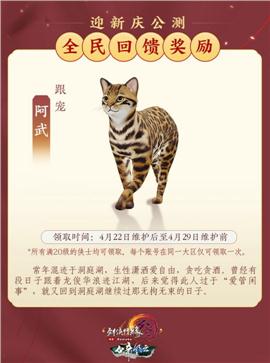 天龙八部私服残雪合击
